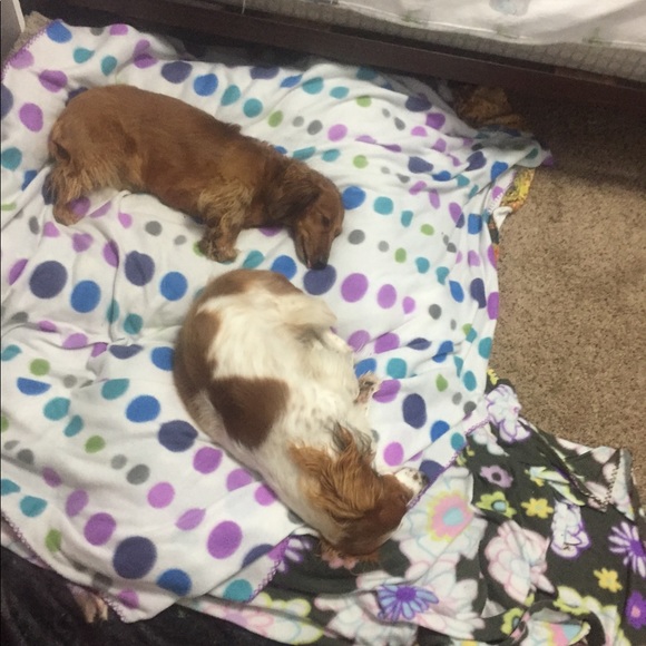 Welcome to Tag N Wag shop . Send offers and bundle. Thanks for stopping by! - Picture 8 of 10